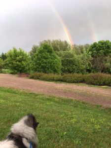 Carrie views a rainbow