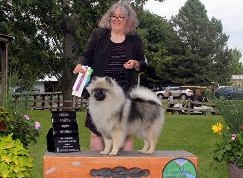 jeep group 4 puppy at St Croix Show