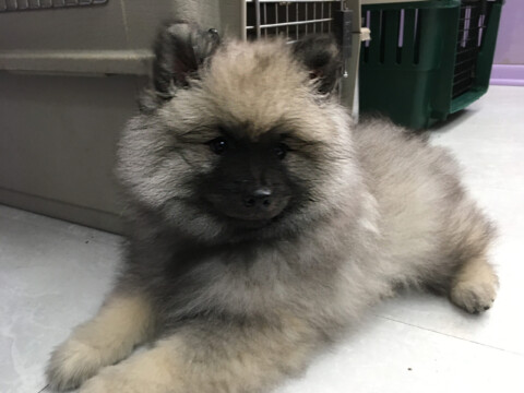 jeep still at LadySlipper