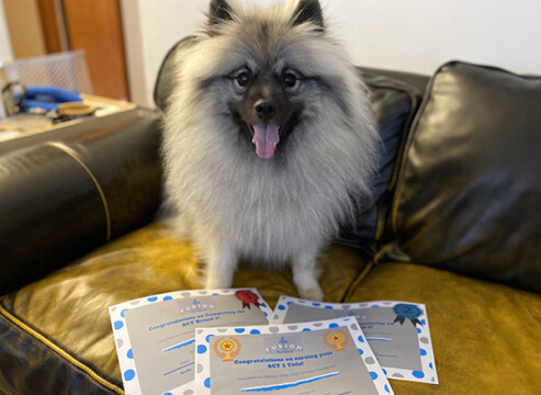 Jeep and ACT1 certificates